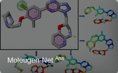 MoleuGen-NetAna module